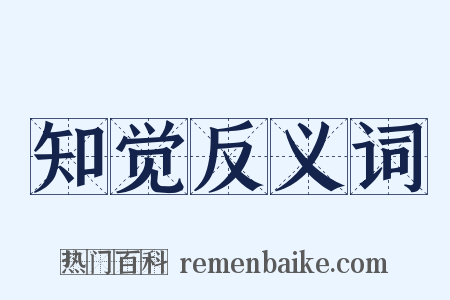 知觉反义词是什么意思的图片